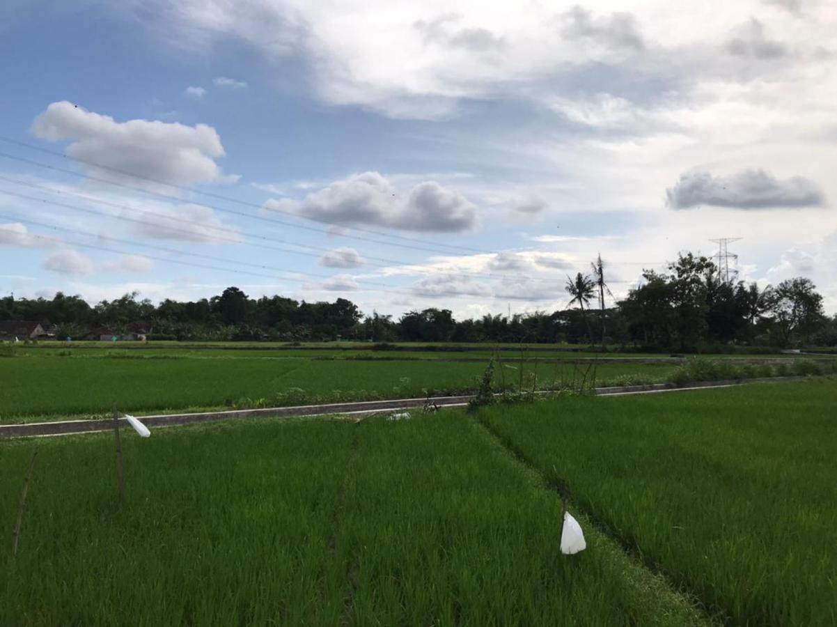 Legiyem Homestay Yogyakarta Exteriör bild